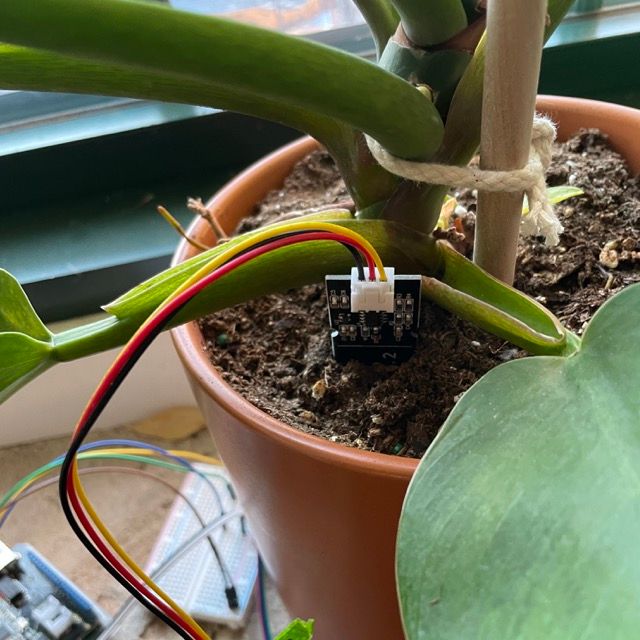 
    Moisture sensor placed inside of a plant
  
